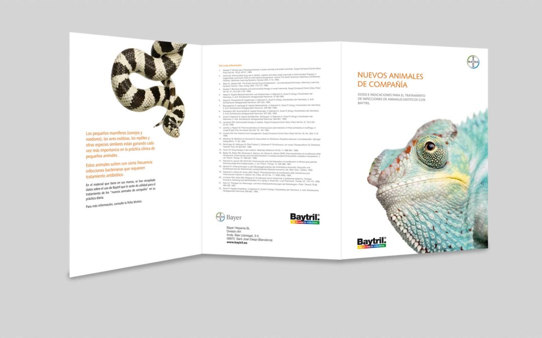 DISEÑO GRÁFICO Y PACKAGING-16